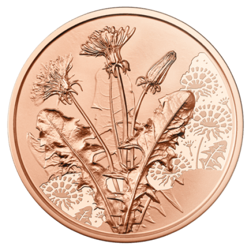 10€ Euros Autriche Cuivre 2022 - Langage des Fleurs Pissenli / Dandelion