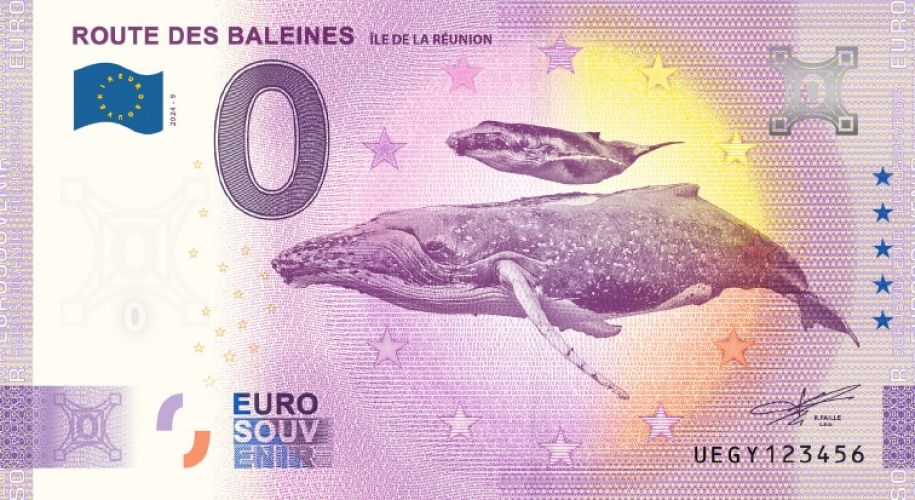 Route des Baleine - La Réunion