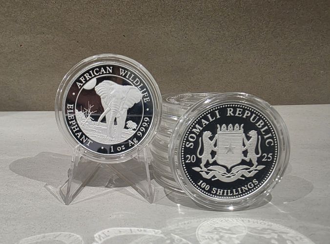 1 Once Argent 999/1000 Somalie Elephant 2025