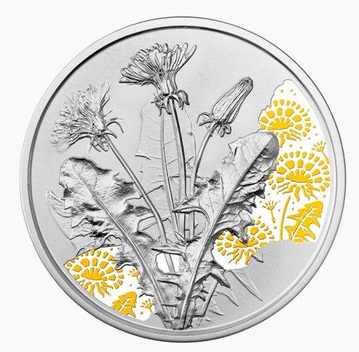 Coffret 10€ Euros Autriche 2023 Argent 925 Fleurs Pissenli / Dandelion COLORISEE
